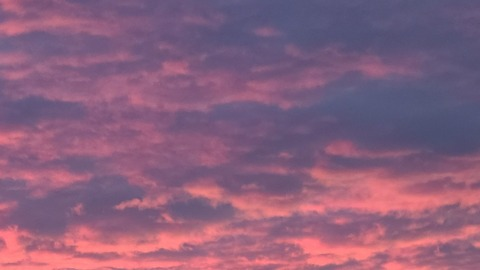 cashmerenoose OnlyFans - Free Access to 32 Videos & 49 Photos Onlyfans Free Access