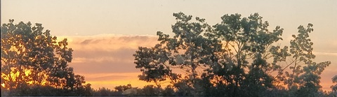 cedsn OnlyFans - Free Access to 32 Videos & 49 Photos Onlyfans Free Access