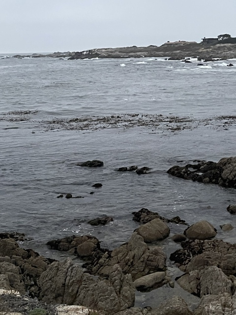 cfp1524 OnlyFans - Free Access to 32 Videos & 49 Photos Onlyfans Free Access