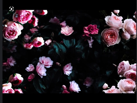 ch3rrybombz OnlyFans - Free Access to 39 Videos & 251 Photos Onlyfans Free Access