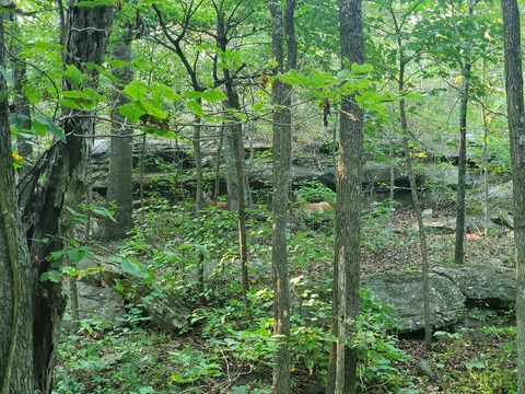 chaoscoordinator12 OnlyFans - Free Access to 32 Videos & 688 Photos Onlyfans Free Access