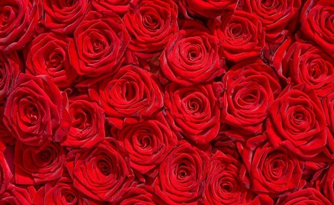 charll OnlyFans - Free Access to 32 Videos & 171 Photos Onlyfans Free Access