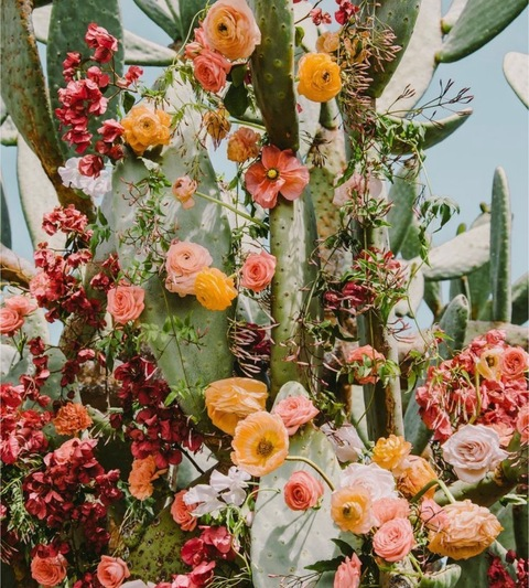 chasiddylynne OnlyFans - Free Access to 64 Videos & 492 Photos Onlyfans Free Access