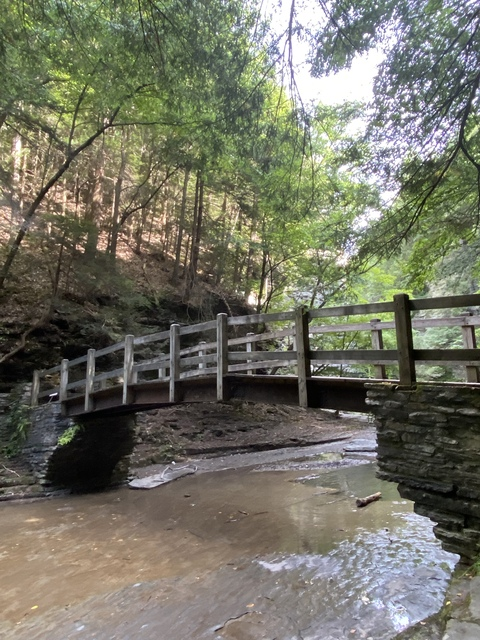 chelseydrools OnlyFans - Free Access to 32 Videos & 89 Photos Onlyfans Free Access