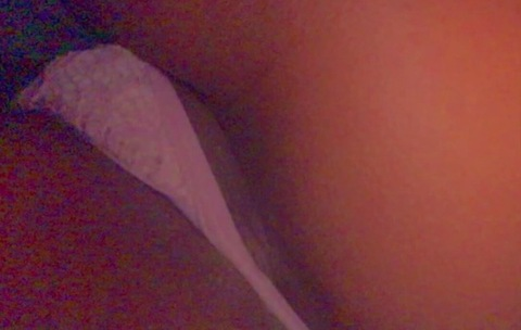 cherokeeslimm OnlyFans - Free Access to 32 Videos & 49 Photos Onlyfans Free Access