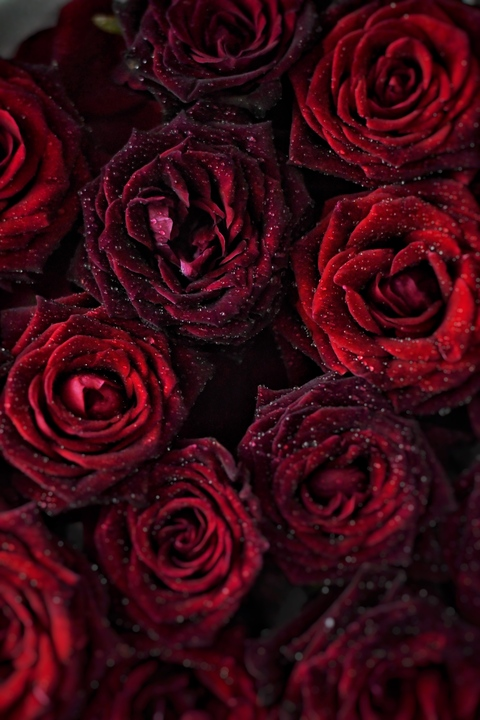 cherryreddevil OnlyFans - Free Access to 32 Videos & 49 Photos Onlyfans Free Access