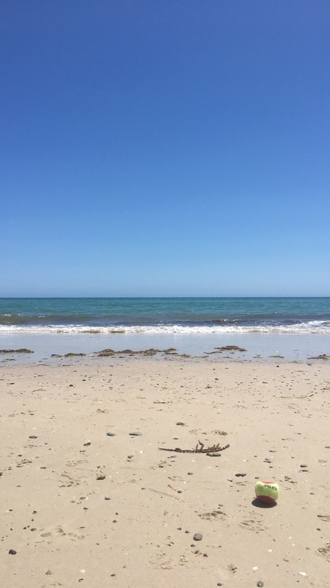 chloehanrose OnlyFans - Free Access to 32 Videos & 65 Photos Onlyfans Free Access