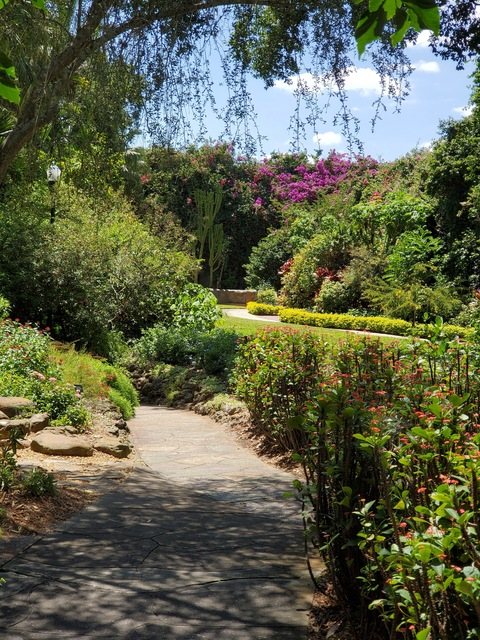 chocolatevixenuncensored OnlyFans - Free Access to 32 Videos & 49 Photos Onlyfans Free Access