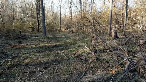 chunkydunkhands OnlyFans - Free Access to 32 Videos & 49 Photos Onlyfans Free Access