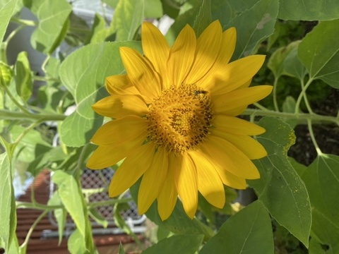 cjae92 OnlyFans - Free Access to 32 Videos & 49 Photos Onlyfans Free Access