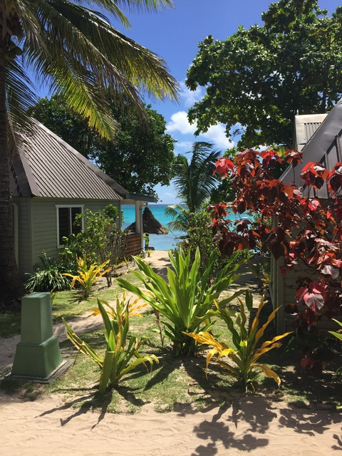 cl44s OnlyFans - Free Access to 32 Videos & 49 Photos Onlyfans Free Access