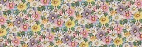 clairet528 OnlyFans - Free Access to 75 Videos & 123 Photos Onlyfans Free Access