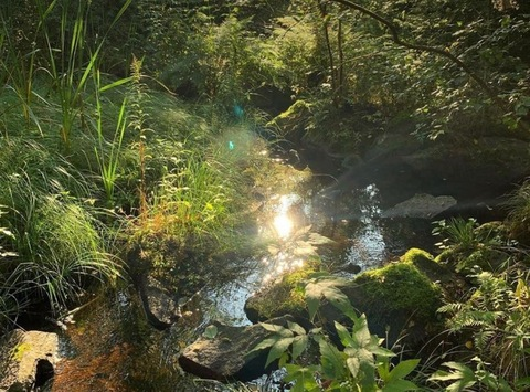 cleobabi3 OnlyFans - Free Access to 32 Videos & 49 Photos Onlyfans Free Access