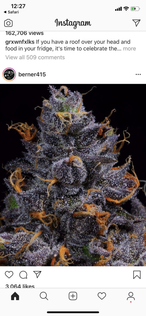 climaximus OnlyFans - Free Access to 32 Videos & 49 Photos Onlyfans Free Access