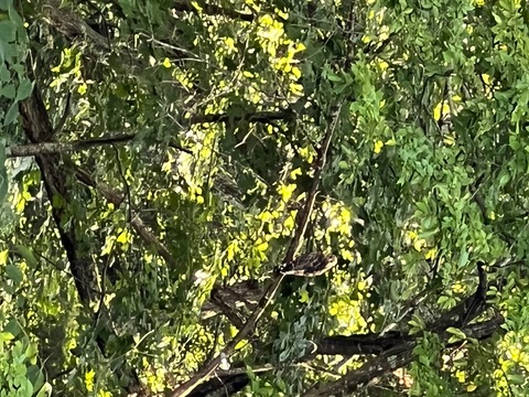 colbysmooth OnlyFans - Free Access to 32 Videos & 49 Photos Onlyfans Free Access