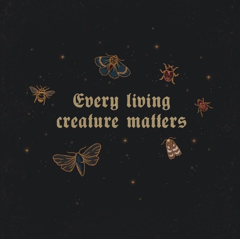 contributechaos OnlyFans - Free Access to 32 Videos & 86 Photos Onlyfans Free Access