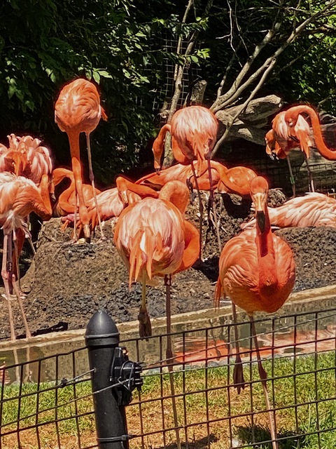 corabell00 OnlyFans - Free Access to 32 Videos & 49 Photos Onlyfans Free Access