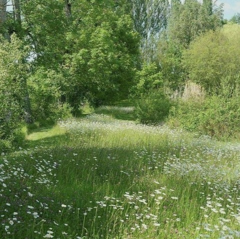 corakittenuwu OnlyFans - Free Access to 32 Videos & 49 Photos Onlyfans Free Access