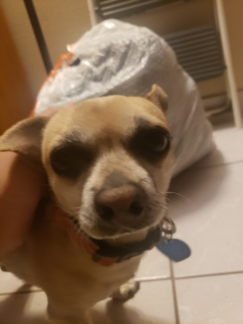 corinnakophf OnlyFans - Free Access to 32 Videos & 49 Photos Onlyfans Free Access