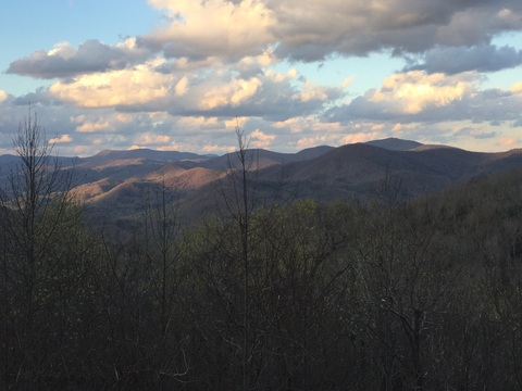 crazyassginger OnlyFans - Free Access to 32 Videos & 49 Photos Onlyfans Free Access