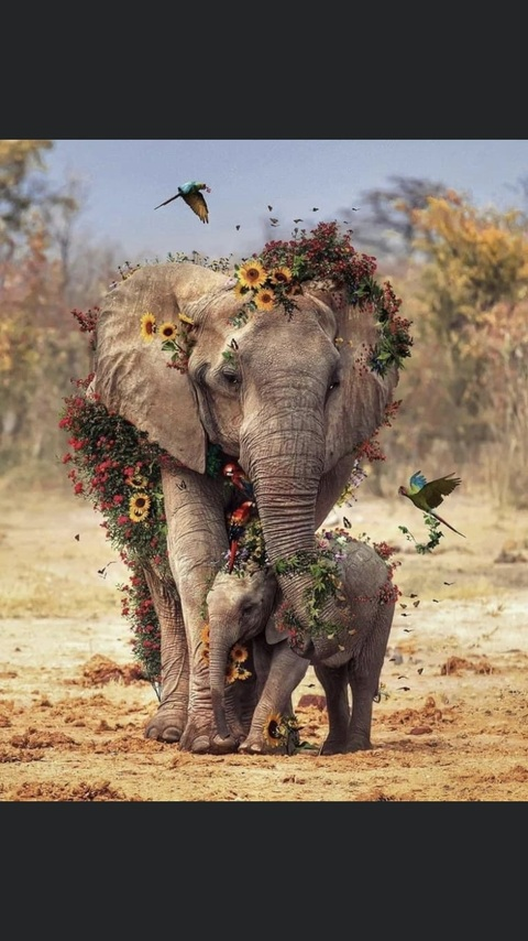 crystalxnx OnlyFans - Free Access to 32 Videos & 49 Photos Onlyfans Free Access