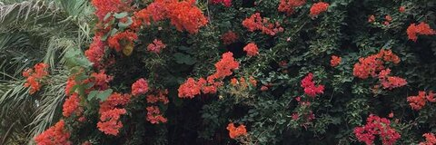 crywankx OnlyFans - Free Access to 32 Videos & 49 Photos Onlyfans Free Access