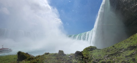 cubguy4321 OnlyFans - Free Access to 32 Videos & 49 Photos Onlyfans Free Access