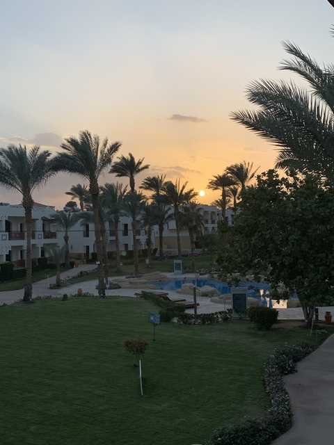 curly_asf OnlyFans - Free Access to 92 Videos & 114 Photos Onlyfans Free Access