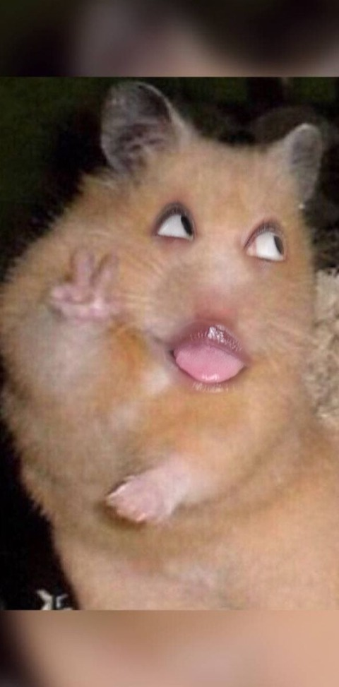 curvaceousdiddy OnlyFans - Free Access to 32 Videos & 49 Photos Onlyfans Free Access