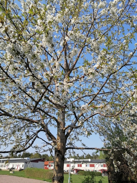 curvy_libby OnlyFans - Free Access to 32 Videos & 49 Photos Onlyfans Free Access