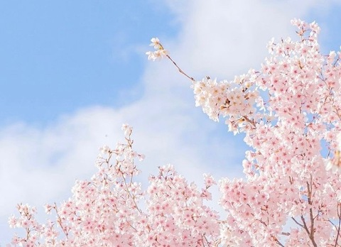 cutefairytale OnlyFans - Free Access to 32 Videos & 49 Photos Onlyfans Free Access