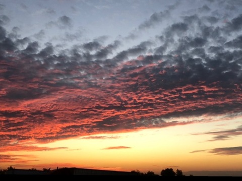 cxmxbear OnlyFans - Free Access to 32 Videos & 49 Photos Onlyfans Free Access