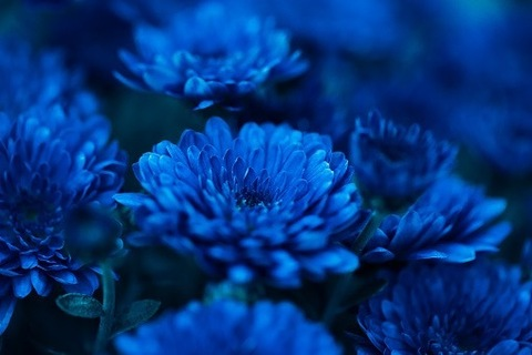 cyberthvt OnlyFans - Free Access to 32 Videos & 181 Photos Onlyfans Free Access