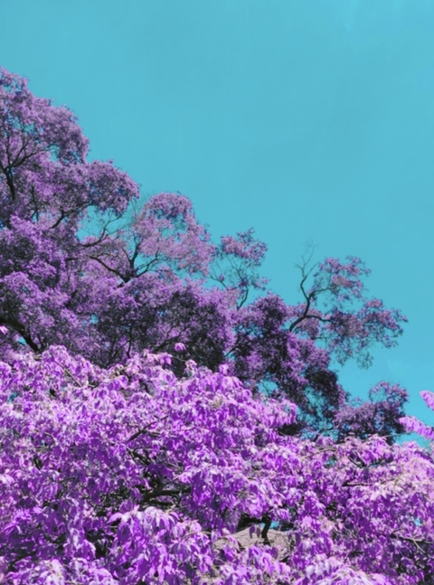 cynicalshady OnlyFans - Free Access to 32 Videos & 51 Photos Onlyfans Free Access