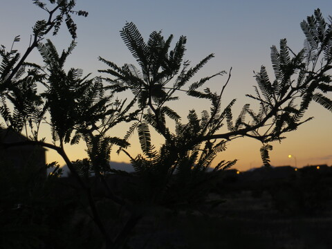 d-mansphotogarden OnlyFans - Free Access to 32 Videos & 51 Photos Onlyfans Free Access