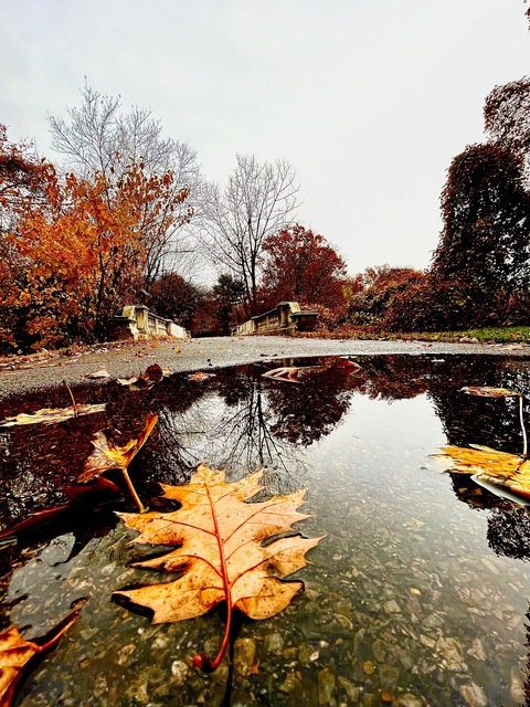 dadboddev OnlyFans - Free Access to 32 Videos & 49 Photos Onlyfans Free Access