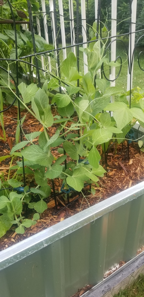 daddydaffohdil OnlyFans - Free Access to 32 Videos & 49 Photos Onlyfans Free Access