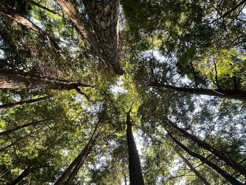 daddylonglegs444 OnlyFans - Free Access to 32 Videos & 49 Photos Onlyfans Free Access