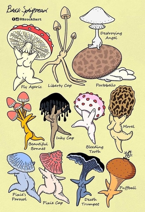 daddys.cxm.dump OnlyFans - Free Access to 32 Videos & 49 Photos Onlyfans Free Access