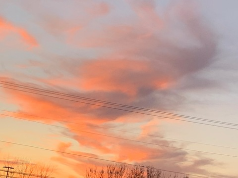 daisymain OnlyFans - Free Access to 32 Videos & 59 Photos Onlyfans Free Access