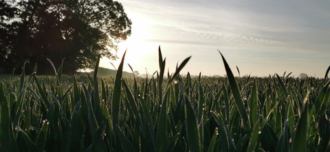 dan_mortimore OnlyFans - Free Access to 32 Videos & 49 Photos Onlyfans Free Access