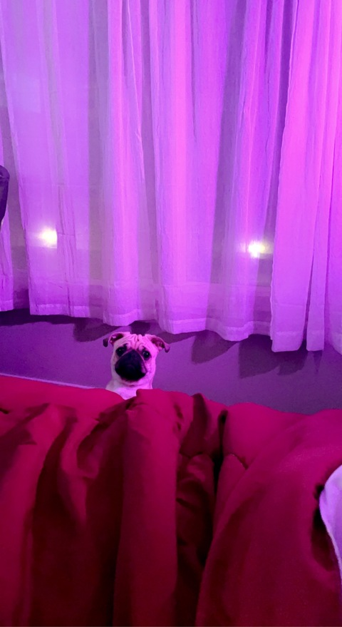 dancintaurus OnlyFans - Free Access to 32 Videos & 115 Photos Onlyfans Free Access