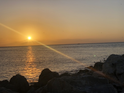 danield2388 OnlyFans - Free Access to 32 Videos & 49 Photos Onlyfans Free Access