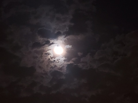 dankbeauty OnlyFans - Free Access to 32 Videos & 65 Photos Onlyfans Free Access