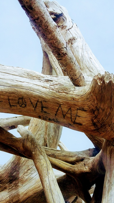 daretobefree OnlyFans - Free Access to 32 Videos & 95 Photos Onlyfans Free Access