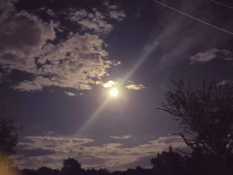 darknightqueen OnlyFans - Free Access to 32 Videos & 49 Photos Onlyfans Free Access