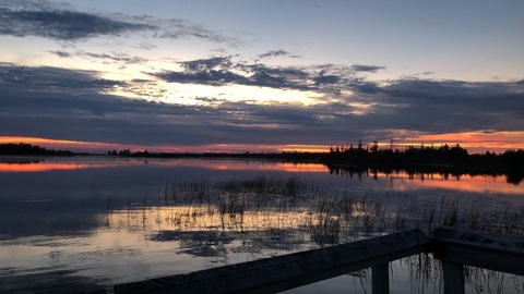 darlingnikki0901 OnlyFans - Free Access to 32 Videos & 97 Photos Onlyfans Free Access