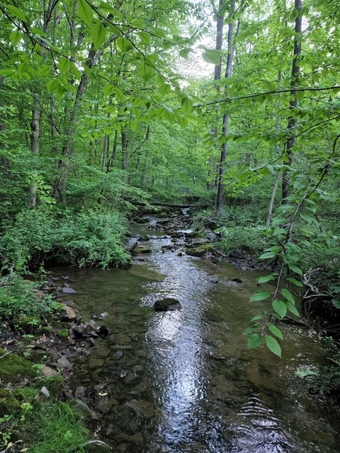 daturastar OnlyFans - Free Access to 32 Videos & 49 Photos Onlyfans Free Access