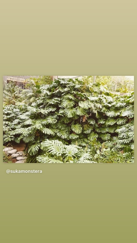 davenutsalot OnlyFans - Free Access to 32 Videos & 49 Photos Onlyfans Free Access