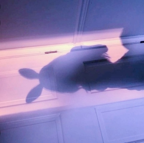 daybunni OnlyFans - Free Access to 32 Videos & 49 Photos Onlyfans Free Access